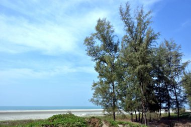 Inani Sahili, Cox 's Bazar, Bangladeş' teki doğal manzaranın geniş açılı bir görüntüsü. Görüntü, tepe arazisinin eşsiz buluşma noktasını ve Deniz Yolu boyunca uzanan Casuarina (Jhau) ormanını yakalıyor..