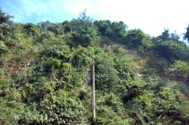 Inani Sahili, Cox 's Bazar, Bangladeş' teki doğal manzaranın geniş açılı bir görüntüsü. Görüntü, tepe arazisinin eşsiz buluşma noktasını ve Deniz Yolu boyunca uzanan Casuarina (Jhau) ormanını yakalıyor..