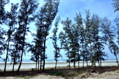 Inani Sahili, Cox 's Bazar, Bangladeş' teki doğal manzaranın geniş açılı bir görüntüsü. Görüntü, tepe arazisinin eşsiz buluşma noktasını ve Deniz Yolu boyunca uzanan Casuarina (Jhau) ormanını yakalıyor..