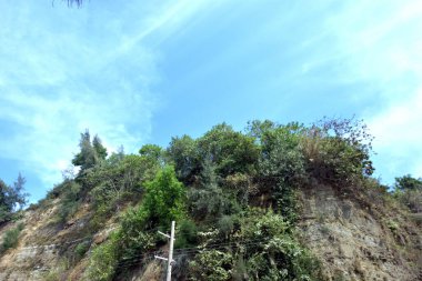 Inani Sahili, Cox 's Bazar, Bangladeş' teki doğal manzaranın geniş açılı bir görüntüsü. Görüntü, tepe arazisinin eşsiz buluşma noktasını ve Deniz Yolu boyunca uzanan Casuarina (Jhau) ormanını yakalıyor..