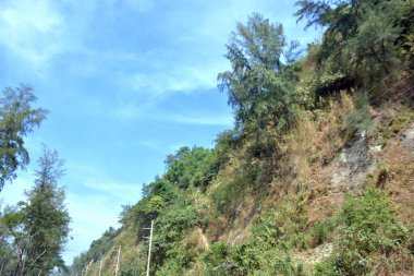 Inani Sahili, Cox 's Bazar, Bangladeş' teki doğal manzaranın geniş açılı bir görüntüsü. Görüntü, tepe arazisinin eşsiz buluşma noktasını ve Deniz Yolu boyunca uzanan Casuarina (Jhau) ormanını yakalıyor..