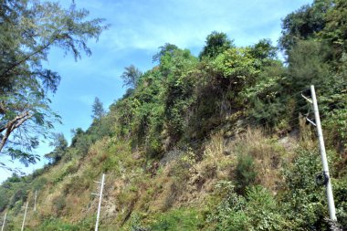 Inani Sahili, Cox 's Bazar, Bangladeş' teki doğal manzaranın geniş açılı bir görüntüsü. Görüntü, tepe arazisinin eşsiz buluşma noktasını ve Deniz Yolu boyunca uzanan Casuarina (Jhau) ormanını yakalıyor..