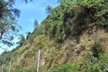 Inani Sahili, Cox 's Bazar, Bangladeş' teki doğal manzaranın geniş açılı bir görüntüsü. Görüntü, tepe arazisinin eşsiz buluşma noktasını ve Deniz Yolu boyunca uzanan Casuarina (Jhau) ormanını yakalıyor..