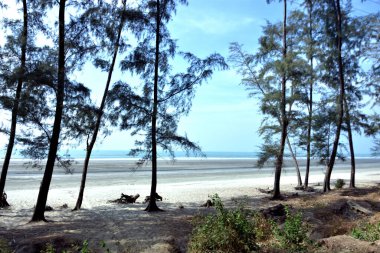 Inani Sahili, Cox 's Bazar, Bangladeş' teki doğal manzaranın geniş açılı bir görüntüsü. Görüntü, tepe arazisinin eşsiz buluşma noktasını ve Deniz Yolu boyunca uzanan Casuarina (Jhau) ormanını yakalıyor..