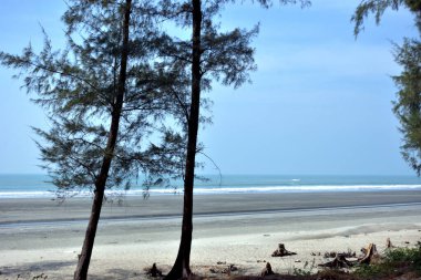 Inani Sahili, Cox 's Bazar, Bangladeş' teki doğal manzaranın geniş açılı bir görüntüsü. Görüntü, tepe arazisinin eşsiz buluşma noktasını ve Deniz Yolu boyunca uzanan Casuarina (Jhau) ormanını yakalıyor..