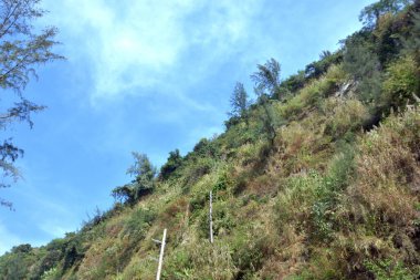 Inani Sahili, Cox 's Bazar, Bangladeş' teki doğal manzaranın geniş açılı bir görüntüsü. Görüntü, tepe arazisinin eşsiz buluşma noktasını ve Deniz Yolu boyunca uzanan Casuarina (Jhau) ormanını yakalıyor..