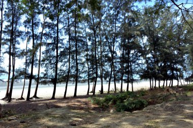 Inani Sahili, Cox 's Bazar, Bangladeş' teki doğal manzaranın geniş açılı bir görüntüsü. Görüntü, tepe arazisinin eşsiz buluşma noktasını ve Deniz Yolu boyunca uzanan Casuarina (Jhau) ormanını yakalıyor..