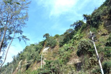 Inani Sahili, Cox 's Bazar, Bangladeş' teki doğal manzaranın geniş açılı bir görüntüsü. Görüntü, tepe arazisinin eşsiz buluşma noktasını ve Deniz Yolu boyunca uzanan Casuarina (Jhau) ormanını yakalıyor..