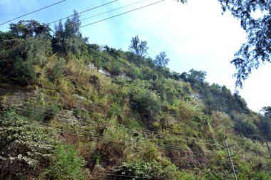 Inani Sahili, Cox 's Bazar, Bangladeş' teki doğal manzaranın geniş açılı bir görüntüsü. Görüntü, tepe arazisinin eşsiz buluşma noktasını ve Deniz Yolu boyunca uzanan Casuarina (Jhau) ormanını yakalıyor..