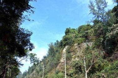 Inani Sahili, Cox 's Bazar, Bangladeş' teki doğal manzaranın geniş açılı bir görüntüsü. Görüntü, tepe arazisinin eşsiz buluşma noktasını ve Deniz Yolu boyunca uzanan Casuarina (Jhau) ormanını yakalıyor..