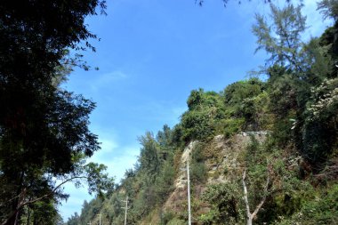 Inani Sahili, Cox 's Bazar, Bangladeş' teki doğal manzaranın geniş açılı bir görüntüsü. Görüntü, tepe arazisinin eşsiz buluşma noktasını ve Deniz Yolu boyunca uzanan Casuarina (Jhau) ormanını yakalıyor..