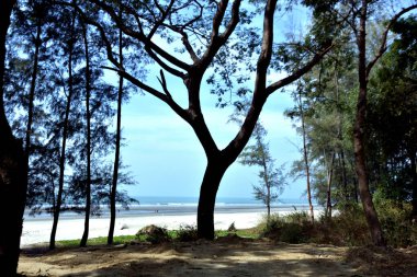 Inani Sahili, Cox 's Bazar, Bangladeş' teki doğal manzaranın geniş açılı bir görüntüsü. Görüntü, tepe arazisinin eşsiz buluşma noktasını ve Deniz Yolu boyunca uzanan Casuarina (Jhau) ormanını yakalıyor..