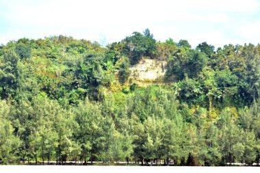 Inani Sahili, Cox 's Bazar, Bangladeş' teki doğal manzaranın geniş açılı bir görüntüsü. Görüntü, tepe arazisinin eşsiz buluşma noktasını ve Deniz Yolu boyunca uzanan Casuarina (Jhau) ormanını yakalıyor..
