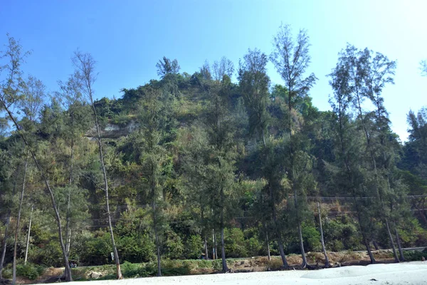 Cox 's Bazar, Bangladeş' teki Marine Drive bölgesinden geniş açılı bir görüntü. Görüntü, açık mavi bir gökyüzü altında açık sirus bulutlarıyla Casuarina ağaçlarının (yerel adıyla Jhau bon) kıyı ormanlarını karşılayan yemyeşil tepeleri göstermektedir..