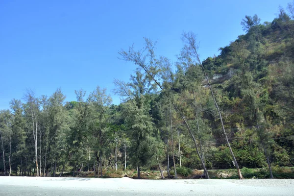 Cox 's Bazar, Bangladeş' teki Marine Drive bölgesinden geniş açılı bir görüntü. Görüntü, açık mavi bir gökyüzü altında açık sirus bulutlarıyla Casuarina ağaçlarının (yerel adıyla Jhau bon) kıyı ormanlarını karşılayan yemyeşil tepeleri göstermektedir..