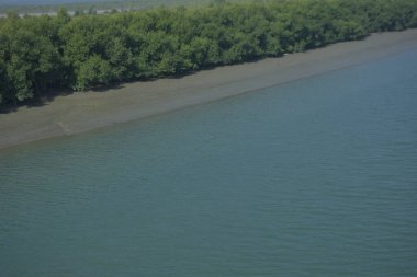 Cox 'un pazar bangladeş' indeki bakkhali nehri boyunca uzanan yemyeşil mangrov kıyı şeridinin manzarası