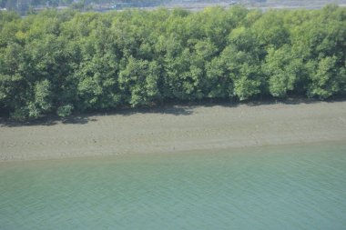 Cox 'un pazarındaki Bakkhali nehir kıyısı boyunca uzanan yemyeşil mangrov ormanının hava perspektifi, dalgaların alçalmasıyla Bangladeş.