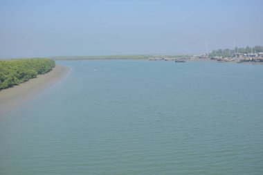 Nehir kıyısındaki tropikal mangrov ekosistem ve kıyı çamurlarının manzaralı manzarası