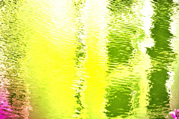 Çiçeklerin ve bitkilerin camdaki yansıması