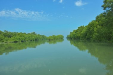 Bakkhali Nehri 'nin geniş manzarası, Cox' s Bazar yakınlarında yoğun mangrov ormanlarıyla kaplı, sakin tropikal sular, yumuşak yansımalar ve Bangladeş 'te gün ışığı altında sakin bir kıyı ekosistemi yakalıyor..