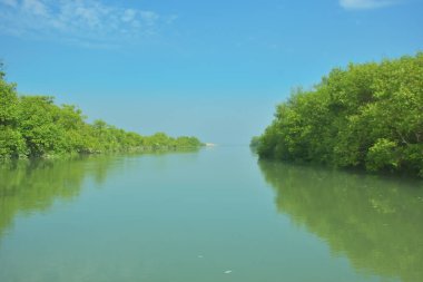 Bakkhali Nehri 'nin geniş manzarası, Cox' s Bazar yakınlarında yoğun mangrov ormanlarıyla kaplı, sakin tropikal sular, yumuşak yansımalar ve Bangladeş 'te gün ışığı altında sakin bir kıyı ekosistemi yakalıyor..