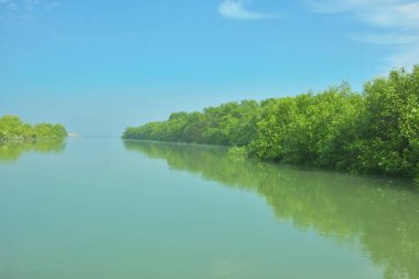 Bakkhali Nehri 'nin geniş manzarası, Cox' s Bazar yakınlarında yoğun mangrov ormanlarıyla kaplı, sakin tropikal sular, yumuşak yansımalar ve Bangladeş 'te gün ışığı altında sakin bir kıyı ekosistemi yakalıyor..