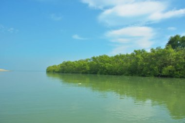 Bakkhali Nehri 'nin geniş manzarası, Cox' s Bazar yakınlarında yoğun mangrov ormanlarıyla kaplı, sakin tropikal sular, yumuşak yansımalar ve Bangladeş 'te gün ışığı altında sakin bir kıyı ekosistemi yakalıyor..