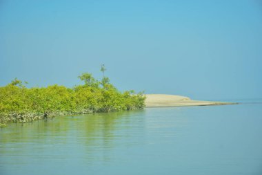 Bakkhali Nehri 'nin geniş manzarası, Cox' s Bazar yakınlarında yoğun mangrov ormanlarıyla kaplı, sakin tropikal sular, yumuşak yansımalar ve Bangladeş 'te gün ışığı altında sakin bir kıyı ekosistemi yakalıyor..