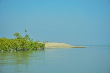Bakkhali Nehri 'nin geniş manzarası, Cox' s Bazar yakınlarında yoğun mangrov ormanlarıyla kaplı, sakin tropikal sular, yumuşak yansımalar ve Bangladeş 'te gün ışığı altında sakin bir kıyı ekosistemi yakalıyor..