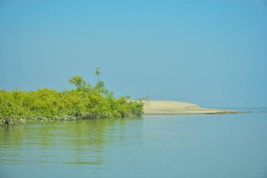 Bakkhali Nehri 'nin geniş manzarası, Cox' s Bazar yakınlarında yoğun mangrov ormanlarıyla kaplı, sakin tropikal sular, yumuşak yansımalar ve Bangladeş 'te gün ışığı altında sakin bir kıyı ekosistemi yakalıyor..