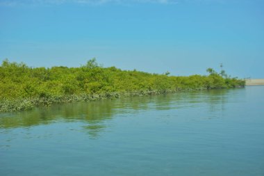 Bakkhali Nehri 'nin geniş manzarası, Cox' s Bazar yakınlarında yoğun mangrov ormanlarıyla kaplı, sakin tropikal sular, yumuşak yansımalar ve Bangladeş 'te gün ışığı altında sakin bir kıyı ekosistemi yakalıyor..