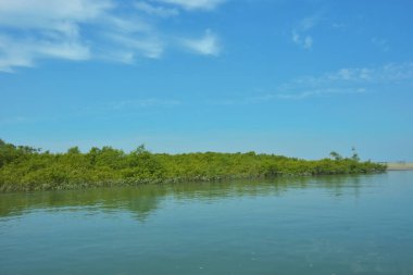 Bakkhali Nehri 'nin geniş manzarası, Cox' s Bazar yakınlarında yoğun mangrov ormanlarıyla kaplı, sakin tropikal sular, yumuşak yansımalar ve Bangladeş 'te gün ışığı altında sakin bir kıyı ekosistemi yakalıyor..