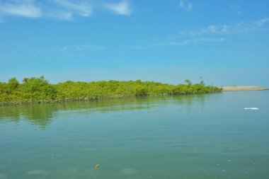 Bakkhali Nehri 'nin geniş manzarası, Cox' s Bazar yakınlarında yoğun mangrov ormanlarıyla kaplı, sakin tropikal sular, yumuşak yansımalar ve Bangladeş 'te gün ışığı altında sakin bir kıyı ekosistemi yakalıyor..