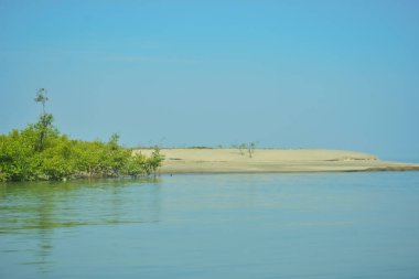 Bakkhali Nehri 'nin geniş manzarası, Cox' s Bazar yakınlarında yoğun mangrov ormanlarıyla kaplı, sakin tropikal sular, yumuşak yansımalar ve Bangladeş 'te gün ışığı altında sakin bir kıyı ekosistemi yakalıyor..