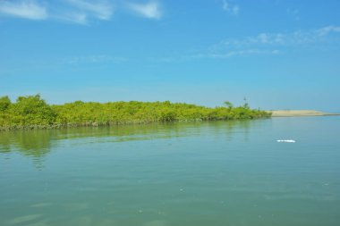 Bakkhali Nehri 'nin geniş manzarası, Cox' s Bazar yakınlarında yoğun mangrov ormanlarıyla kaplı, sakin tropikal sular, yumuşak yansımalar ve Bangladeş 'te gün ışığı altında sakin bir kıyı ekosistemi yakalıyor..