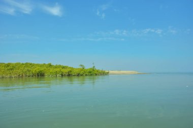 Bakkhali Nehri 'nin geniş manzarası, Cox' s Bazar yakınlarında yoğun mangrov ormanlarıyla kaplı, sakin tropikal sular, yumuşak yansımalar ve Bangladeş 'te gün ışığı altında sakin bir kıyı ekosistemi yakalıyor..