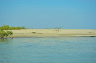 Cox 's Bazar yakınlarındaki Bakkhali Nehri' nin gelgit kıyı şeridi boyunca uzanan Mangrove ormanı, yumuşak dalgaları, çamurlu kıyı şeridini ve Bangladeş 'in sakin kıyı ekosistemi içinde berrak gün ışığı altında yemyeşil tropikal bitkileri gösteriyor..