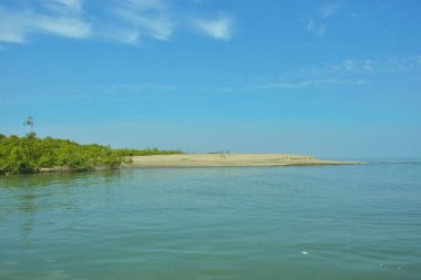 Cox 's Bazar yakınlarındaki Bakkhali Nehri' nin gelgit kıyı şeridi boyunca uzanan Mangrove ormanı, yumuşak dalgaları, çamurlu kıyı şeridini ve Bangladeş 'in sakin kıyı ekosistemi içinde berrak gün ışığı altında yemyeşil tropikal bitkileri gösteriyor..