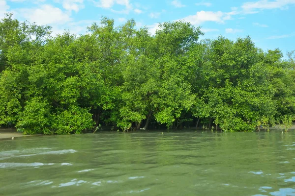 Cox 's Bazar, Bangladeş' teki Bakkhali Nehri boyunca canlı yeşil bir mangrov ormanı. Görüntü, bereketli ağaç hattını parlak, parçalı bulutlu bir gökyüzünün altında kumlu bir nehir kıyısında suyun kenarına vuruşunu gösteriyor..