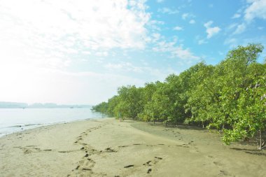 Cox 's Bazar, Bangladeş' teki Bakkhali Nehri 'ni çevreleyen yemyeşil bir mangrov ormanının geniş açılı görüntüsü. Yoğun yeşillik içeren sakin tropikal manzara, durgun nehir suyu, ve gelgitte yumuşak bulutlarla dolu açık mavi bir gökyüzü..