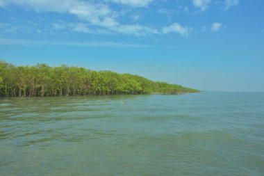 Bangladeş, Cox 's Bazar' daki Bakkhali Nehri boyunca yemyeşil mangrov ormanı. Berrak mavi gökyüzünün altında, yüksek gelgit sırasında sulara yansıyan yoğun tropikal ağaçların yer aldığı sakin kıyı manzarası..