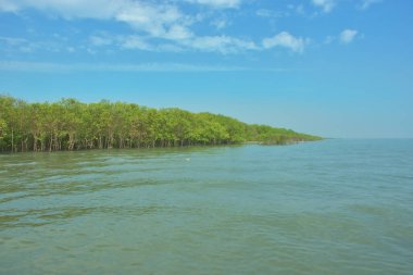 Bangladeş, Cox 's Bazar' daki Bakkhali Nehri boyunca yemyeşil mangrov ormanı. Berrak mavi gökyüzünün altında, yüksek gelgit sırasında sulara yansıyan yoğun tropikal ağaçların yer aldığı sakin kıyı manzarası..