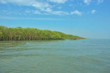 Bangladeş, Cox 's Bazar' daki Bakkhali Nehri boyunca yemyeşil mangrov ormanı. Berrak mavi gökyüzünün altında, yüksek gelgit sırasında sulara yansıyan yoğun tropikal ağaçların yer aldığı sakin kıyı manzarası..