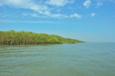 Bangladeş, Cox 's Bazar' daki Bakkhali Nehri boyunca yemyeşil mangrov ormanı. Berrak mavi gökyüzünün altında, yüksek gelgit sırasında sulara yansıyan yoğun tropikal ağaçların yer aldığı sakin kıyı manzarası..