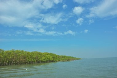 Bangladeş, Cox 's Bazar' daki Bakkhali Nehri boyunca yemyeşil mangrov ormanı. Berrak mavi gökyüzünün altında, yüksek gelgit sırasında sulara yansıyan yoğun tropikal ağaçların yer aldığı sakin kıyı manzarası..