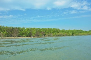 Cox 's Bazar, Bangladeş' teki Bakkhali Nehri 'ni çevreleyen yemyeşil bir mangrov ormanının geniş açılı görüntüsü. Yoğun yeşillik içeren sakin tropikal manzara, durgun nehir suyu, ve gelgitte yumuşak bulutlarla dolu açık mavi bir gökyüzü..