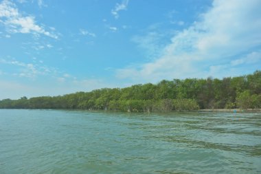 Cox 's Bazar, Bangladeş' teki Bakkhali Nehri 'ni çevreleyen yemyeşil bir mangrov ormanının geniş açılı görüntüsü. Yoğun yeşillik içeren sakin tropikal manzara, durgun nehir suyu, ve gelgitte yumuşak bulutlarla dolu açık mavi bir gökyüzü..