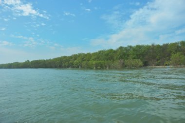 Cox 's Bazar, Bangladeş' teki Bakkhali Nehri 'ni çevreleyen yemyeşil bir mangrov ormanının geniş açılı görüntüsü. Yoğun yeşillik içeren sakin tropikal manzara, durgun nehir suyu, ve gelgitte yumuşak bulutlarla dolu açık mavi bir gökyüzü..
