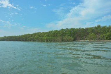 Cox 's Bazar, Bangladeş' teki Bakkhali Nehri 'ni çevreleyen yemyeşil bir mangrov ormanının geniş açılı görüntüsü. Yoğun yeşillik içeren sakin tropikal manzara, durgun nehir suyu, ve gelgitte yumuşak bulutlarla dolu açık mavi bir gökyüzü..