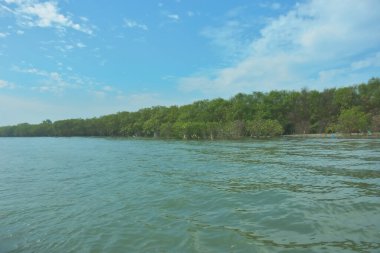 Cox 's Bazar, Bangladeş' teki Bakkhali Nehri 'ni çevreleyen yemyeşil bir mangrov ormanının geniş açılı görüntüsü. Yoğun yeşillik içeren sakin tropikal manzara, durgun nehir suyu, ve gelgitte yumuşak bulutlarla dolu açık mavi bir gökyüzü..
